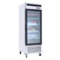 Freezer BT 700 lt porta in vetro