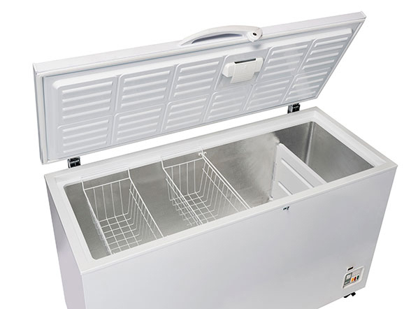 FREEZER_DETTAGLI_110N