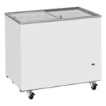 Refrigeratore Freezer a Pozzetto BT Statico Lt 300 Top Vetro Scorrevole