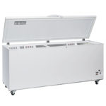 Refrigeratore a Pozzetto TN Statico Lt 700