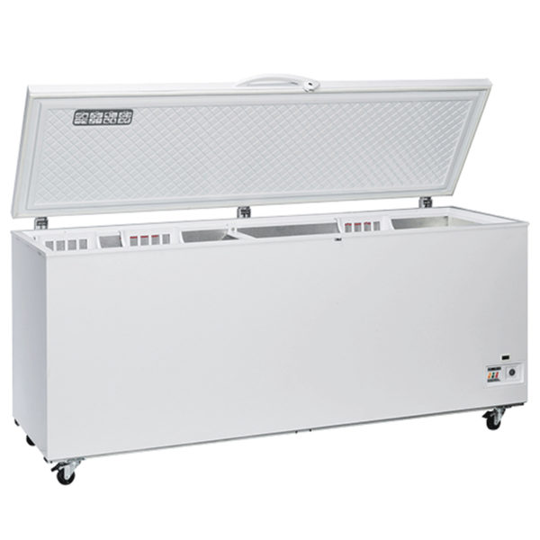 Refrigeratore a Pozzetto TN Statico Lt 700